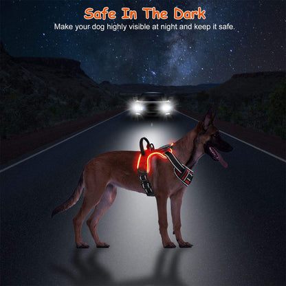 Dog wearing a reflective harness on a dark road with a car's headlights in the background, promoting safety at night.