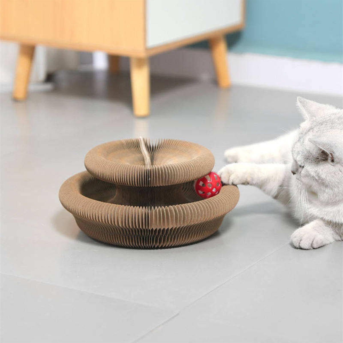 Cat playing with a cardboard toy on a light-colored floor.