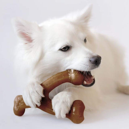 White dog chewing on a brown bone-shaped chew toy against a white background