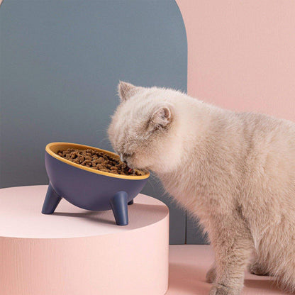 Raised Tilted Cat Food Bowl for Cats & Small Dogs