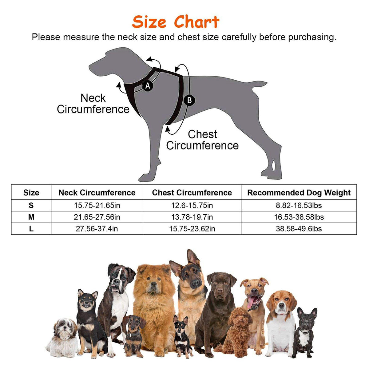 Dog harness size chart with a dog silhouette showing neck and chest measurement areas, a size table with S/M/L neck and chest measurements and recommended dog weights, and a row of small dog photos at the bottom on a white background.