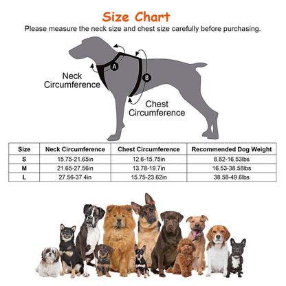 Dog harness size chart with a dog silhouette showing neck and chest measurement areas, a size table with S/M/L neck and chest measurements and recommended dog weights, and a row of small dog photos at the bottom on a white background.