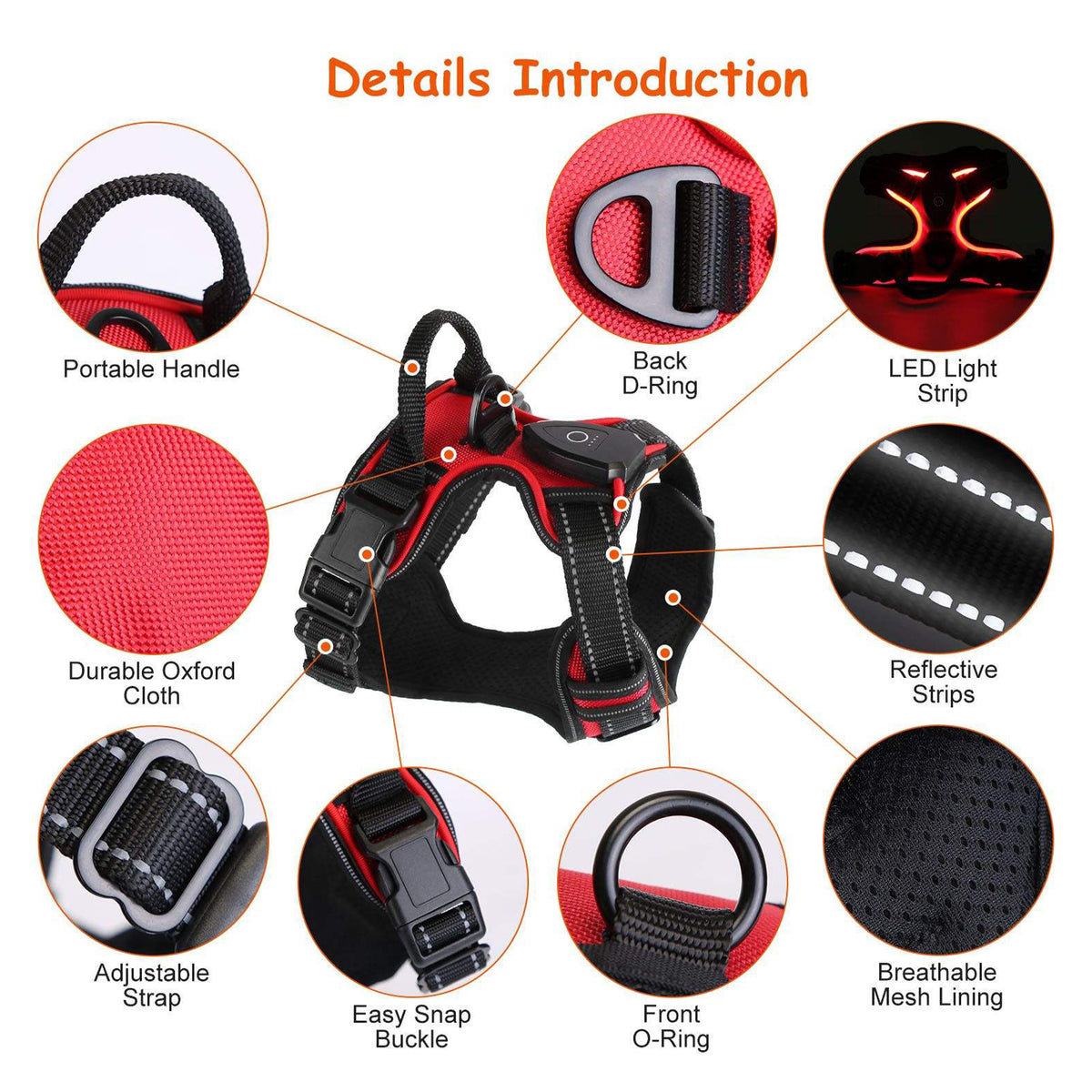 Rechargeable LED Light-Up Dog Harness for Night Walks