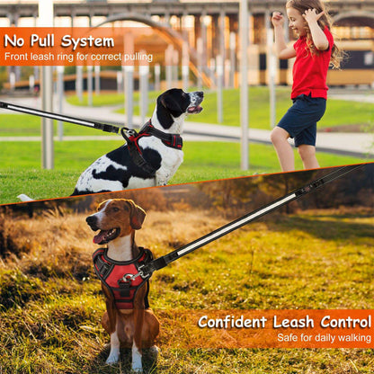 Two dogs wearing harnesses with a no pull system in an outdoor setting.