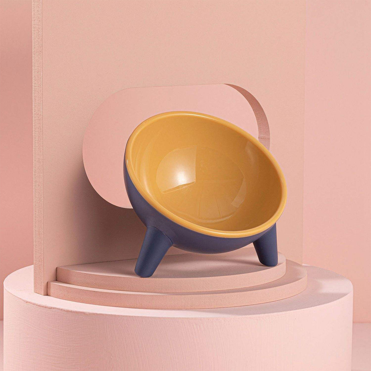 Raised Tilted Cat Food Bowl for Cats & Small Dogs