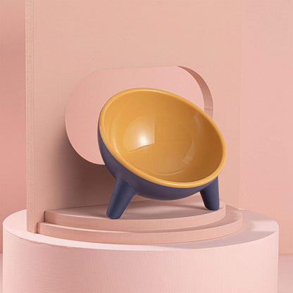 Raised Tilted Cat Food Bowl for Cats & Small Dogs