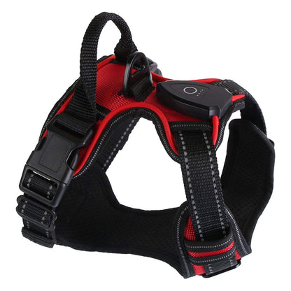 Rechargeable LED Light-Up Dog Harness for Night Walks