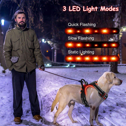 Man walking a dog on a snowy night with LED light modes displayed.