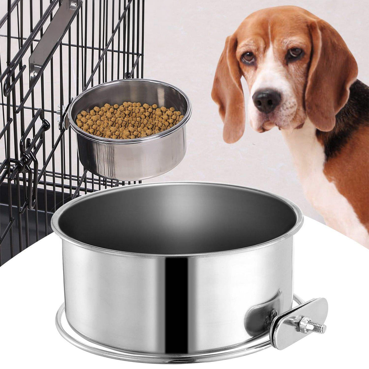 A stainless steel pet feeder and water bowl set with a clip-on design, shown with kibble in the bowl and a beagle dog partially visible on the right against a light studio background.