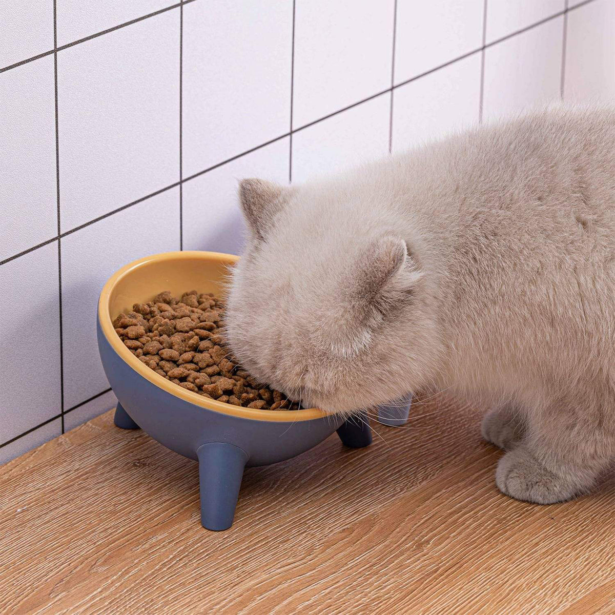 Raised Tilted Cat Food Bowl for Cats & Small Dogs