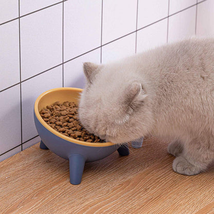 Raised Tilted Cat Food Bowl for Cats & Small Dogs